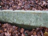 image of grave number 607321